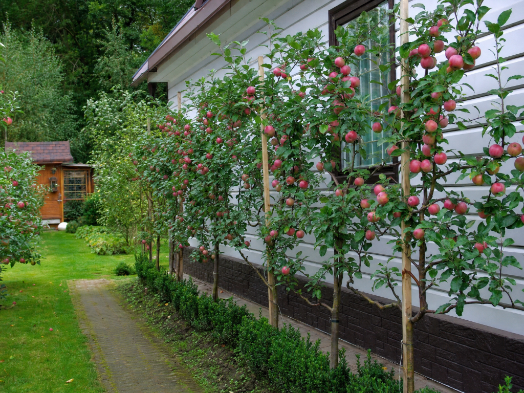 image-3833573.png